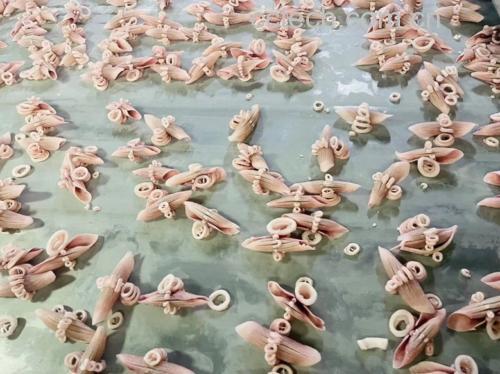 带仔鱿鱼仔与儿童营养食谱示意图
