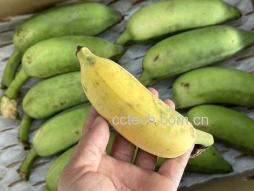 肾病患者饮食示意图