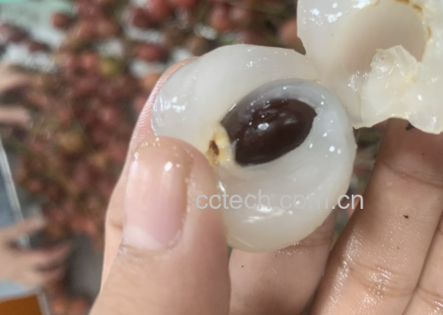 荔枝果肉特写