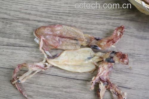 带膏鱿鱼的膏是什么