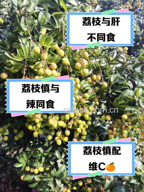 中医体质辨识图表示意