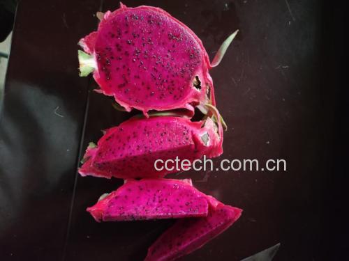 红心火龙果