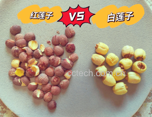 莲子选购图