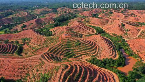 葛根种植环境航拍图