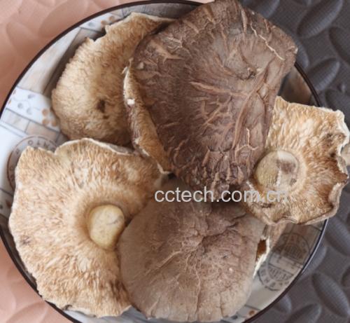 干香菇初步清洗