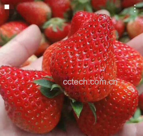 不同水果含钾量柱状图