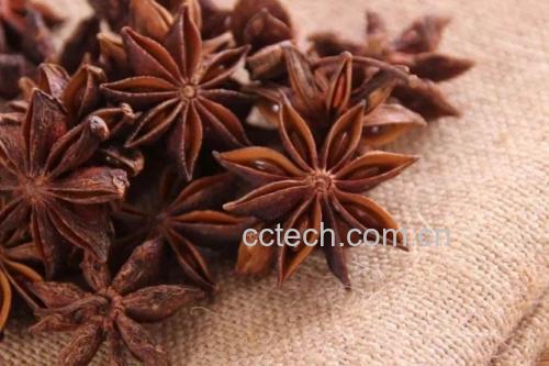 八角茴香在厨房中的应用