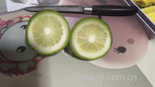 柠檬切片去白膜示意图
