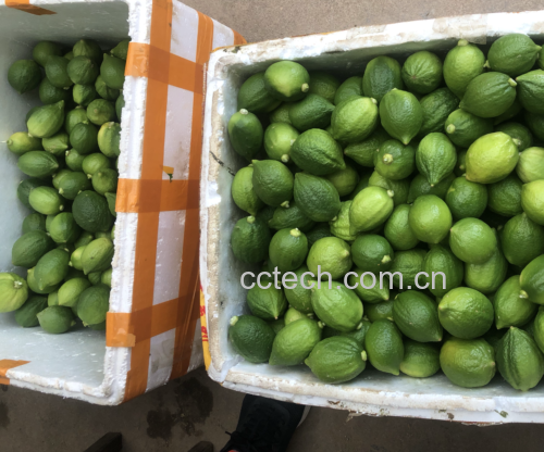 百香果与柠檬果盘