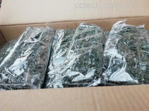 海带储藏方式对比图