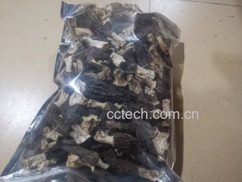 羊肚菌正确储存方法示意图