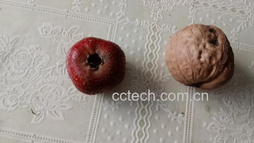 洋葱与雪梨的原材料图