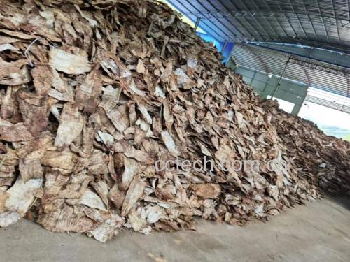 新鲜毛竹笋与加工流程示意图