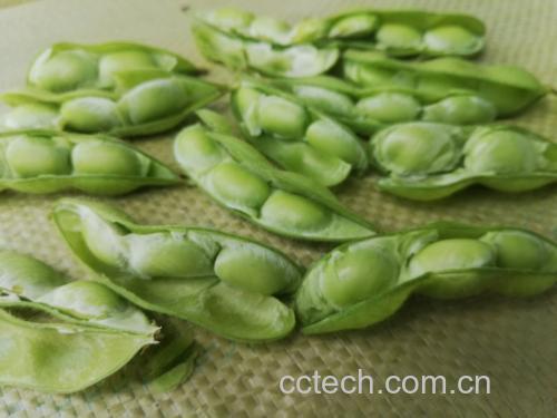 女性手持一杯豆浆和一份豆腐菜肴