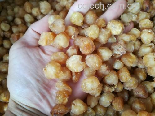 龙眼与一杯温水、一把坚果一起摆放在早餐桌上,营造健康饮食氛围