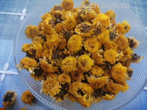 菊花山楂陈皮茶冲泡图