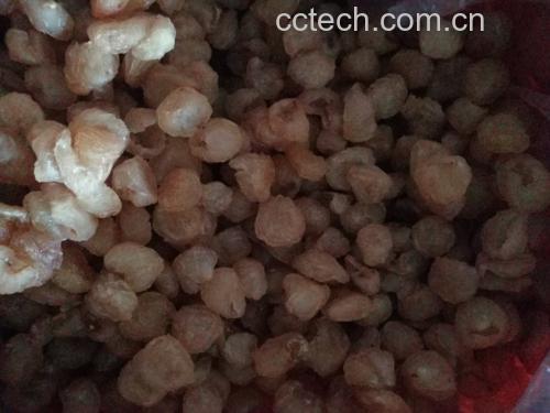 桂圆干与新鲜龙眼对比图