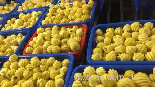 菠萝啤的制作过程