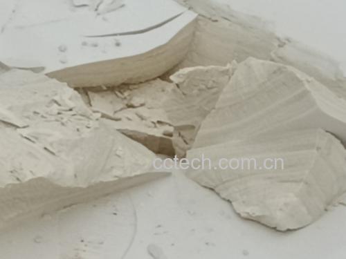 粉葛切片显微结构图