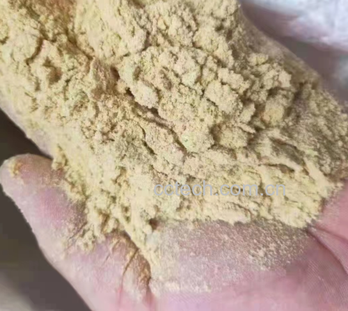 显微镜下的大豆蛋白纤维结构图
