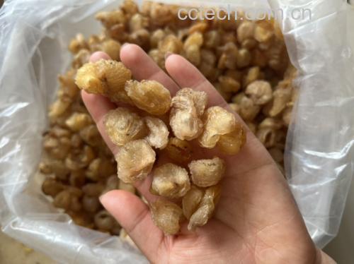 龙眼红枣食材搭配示意图
