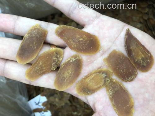 人参切片对比图