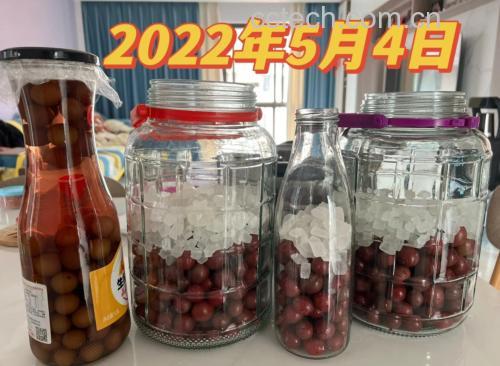 红梅果酒成品展示