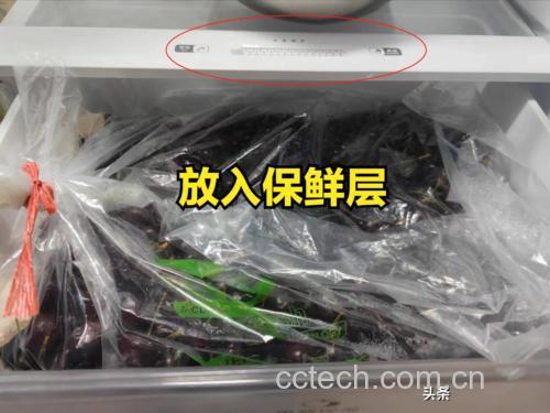 家庭厨房中储存茄子的场景