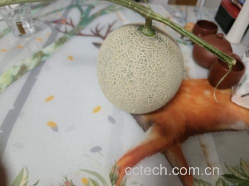 哈密瓜南瓜果昔成品图