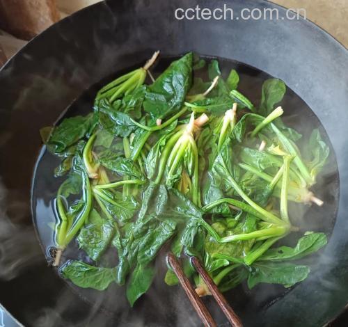 家庭厨房中焯水处理菠菜与折耳根的过程图