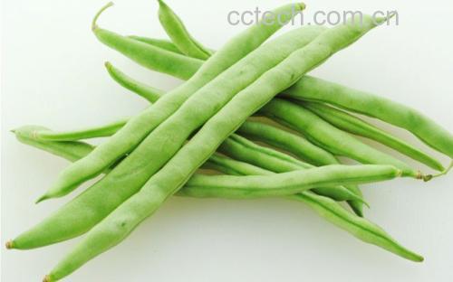 植物雌激素丰富食材图