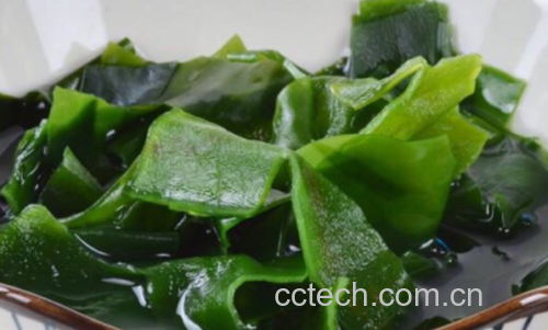 柠檬海苔沙拉成品图