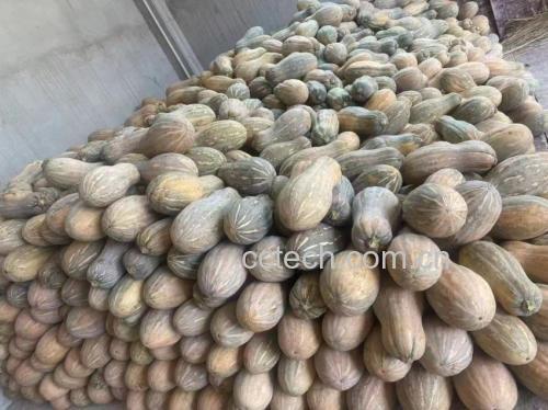 南瓜与其他常见农产品的磷含量柱状图
