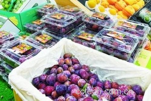 李子挑选对比图:优质李子与胶状物较多的李子