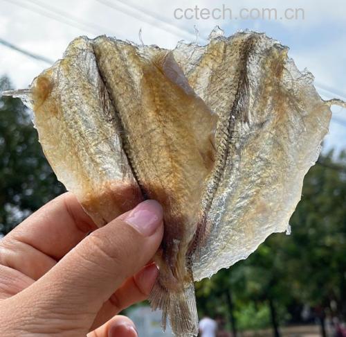 焯水骨头过程