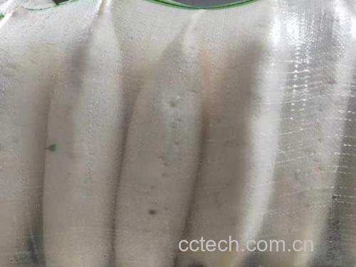 萝卜切片显微图