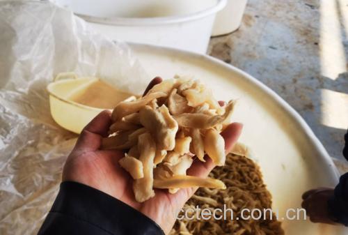 泡椒萝卜制作过程图