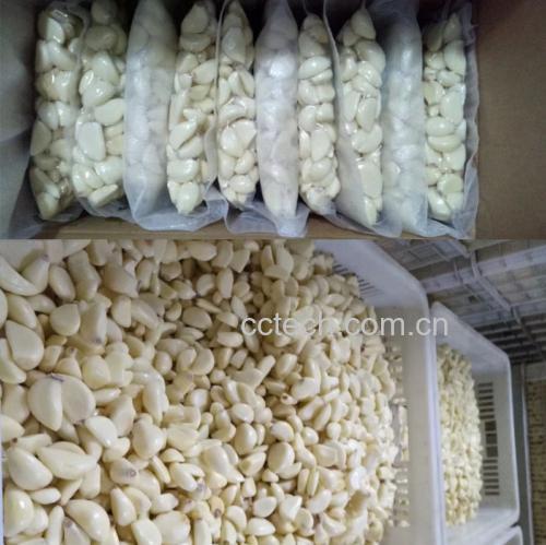 蒜瓣储存方法对比示意图