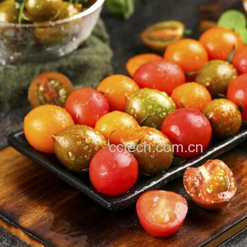 冷冻圣女果用于料理的场景图