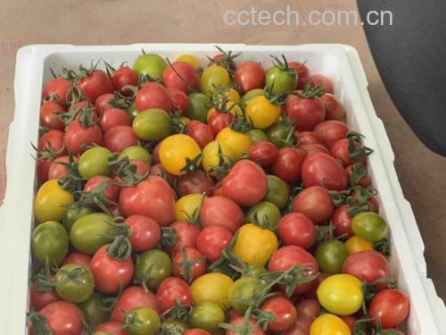 圣女果黄瓜薄荷汁成品图