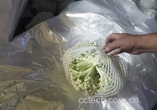 青提营养成分表