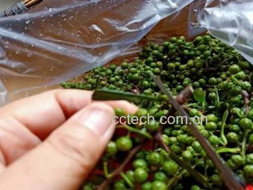 实验室检测中的花椒样品