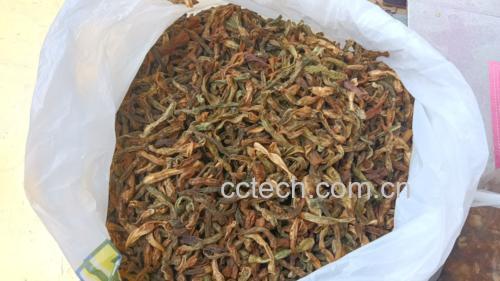 鲜豆角与干豆角对比图