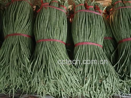 超市货架上新鲜豆角的陈列场景