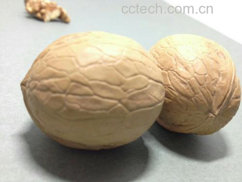 核桃分心木特写