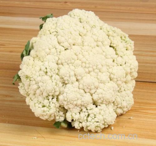 菜花新鲜与变质对比图