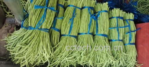 市场中新鲜豌豆角的摊位展示