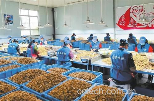 核桃加工厂副产物处理车间