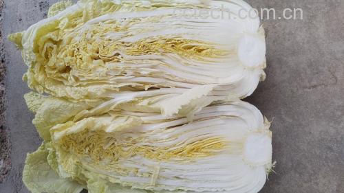 煮熟的白菜与生白菜对比图