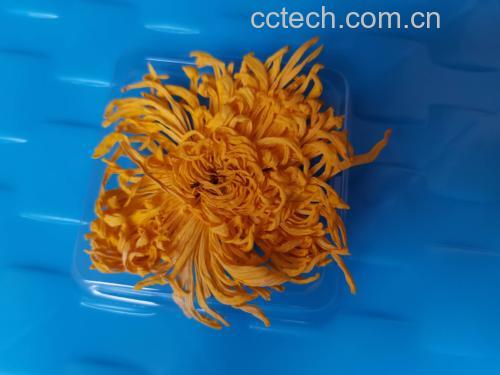 菊花枸杞决明子茶冲泡图